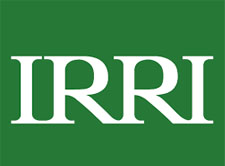 Irri